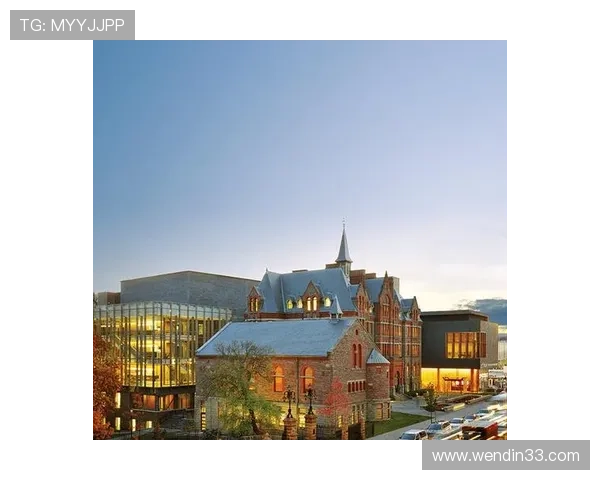 探索皇家平台的独特魅力与多样化服务体验